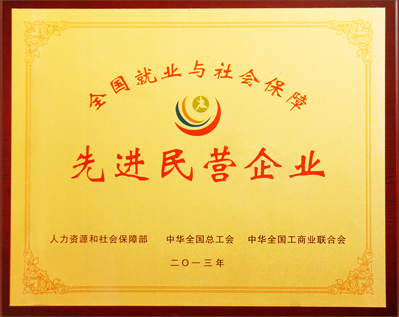 全國(guó)就業(yè)與社會(huì)保障先進(jìn)民營(yíng)企業(yè)